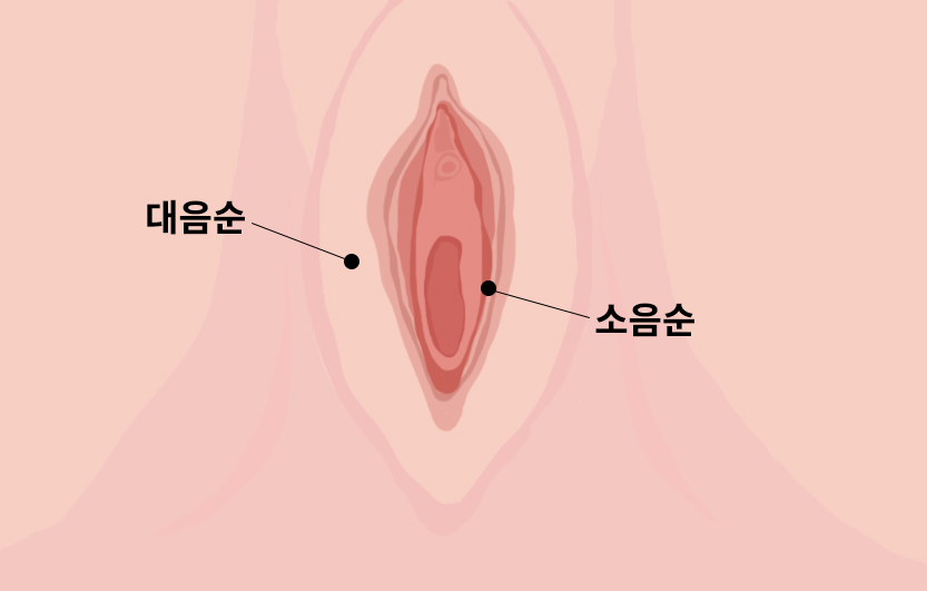 ������ ���